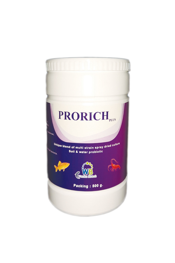 PRORICH PLUS
