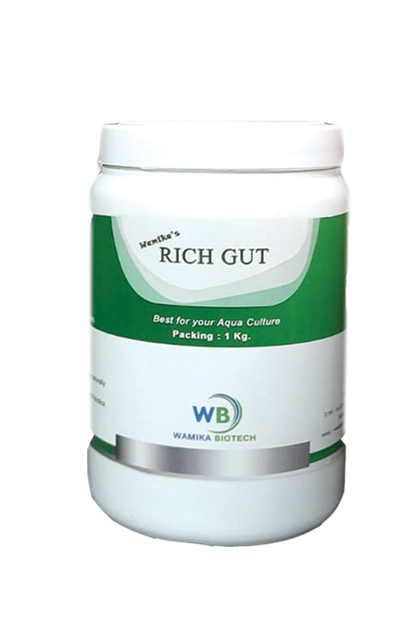 RICH GUT