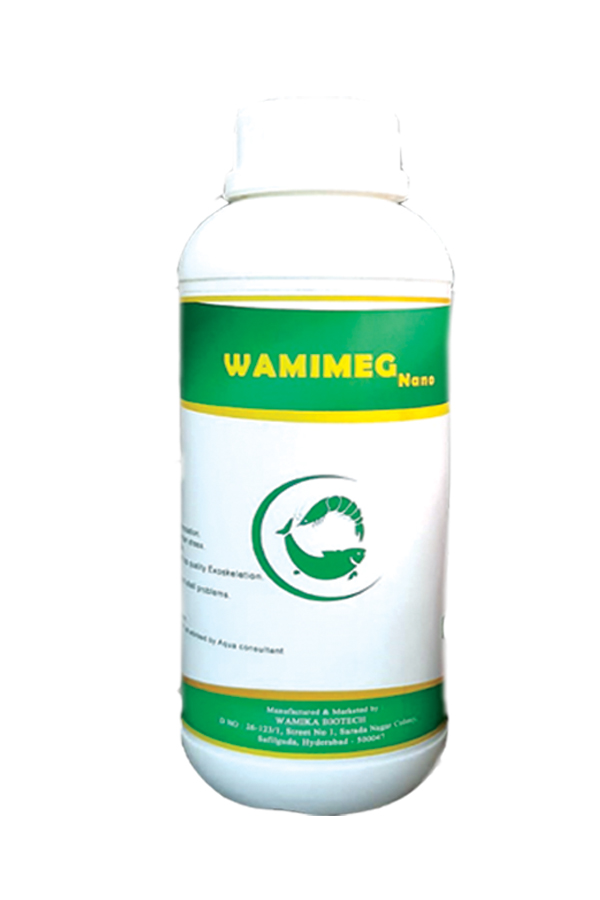WAMIMEG