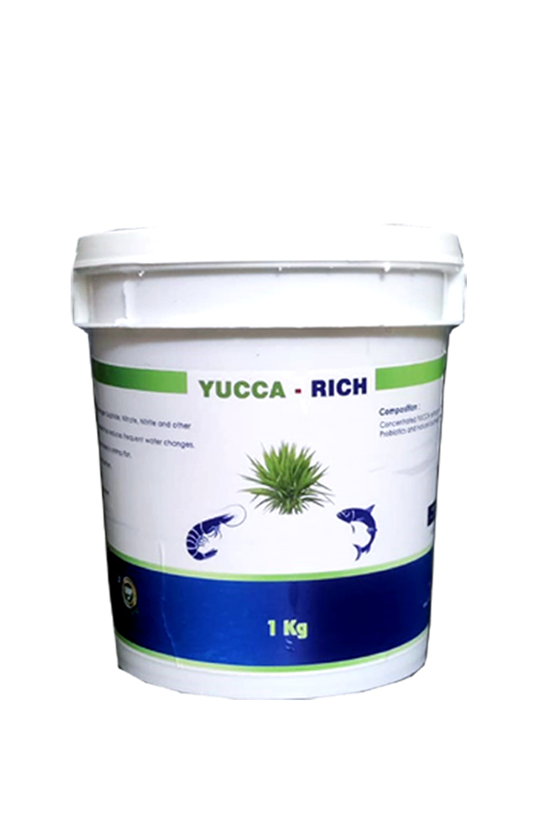 yucca rich 1